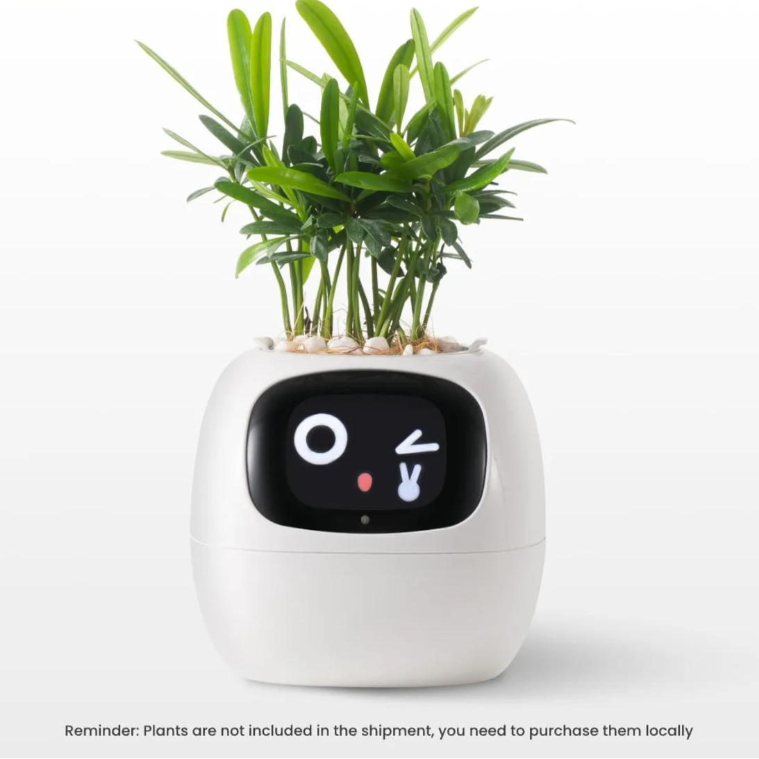 Bot Smart Planter