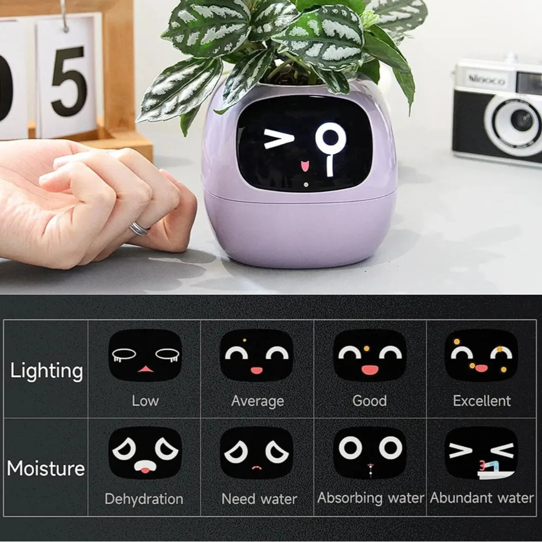 Bot Smart Planter