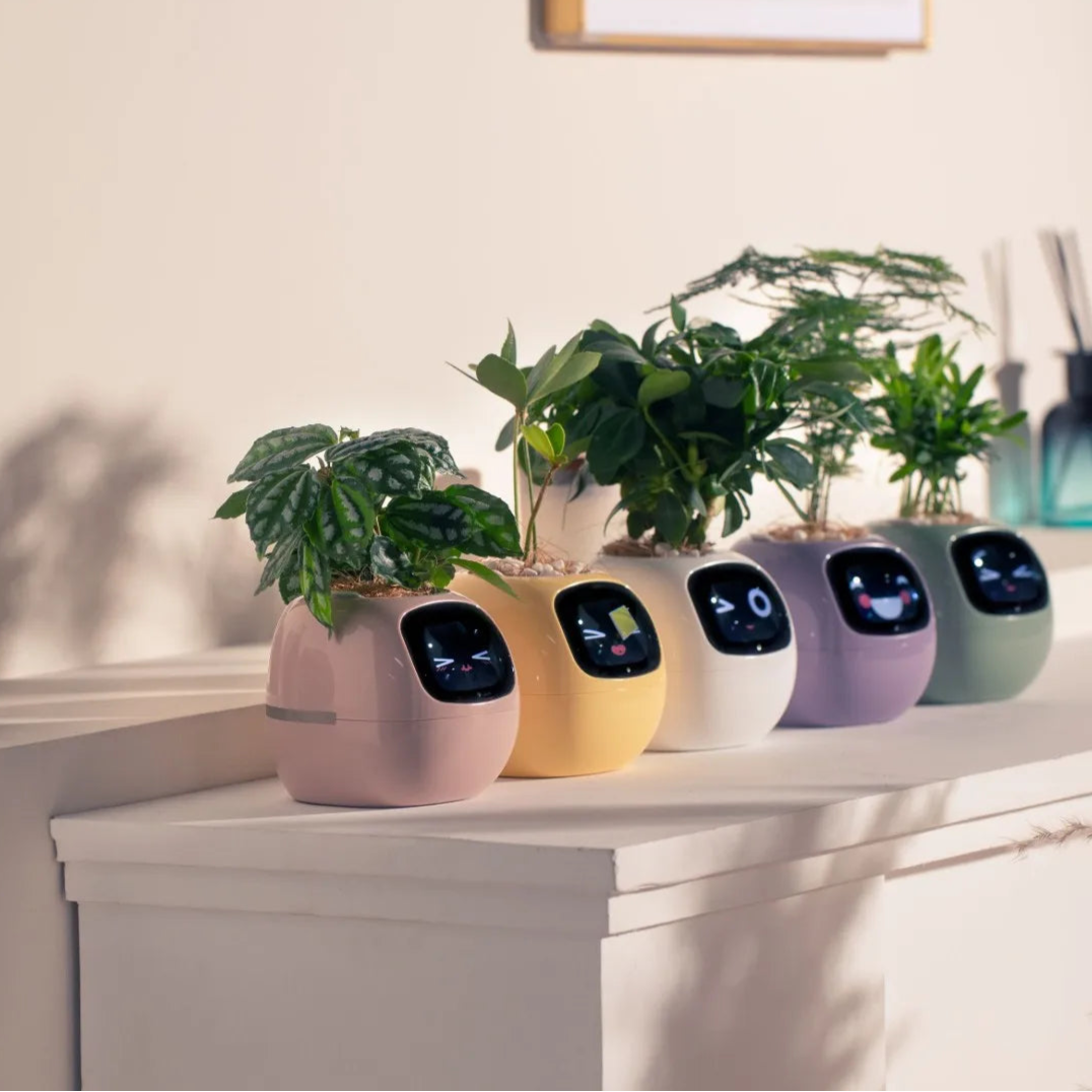 Bot Smart Planter