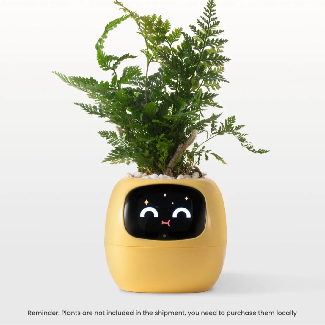 Bot Smart Planter