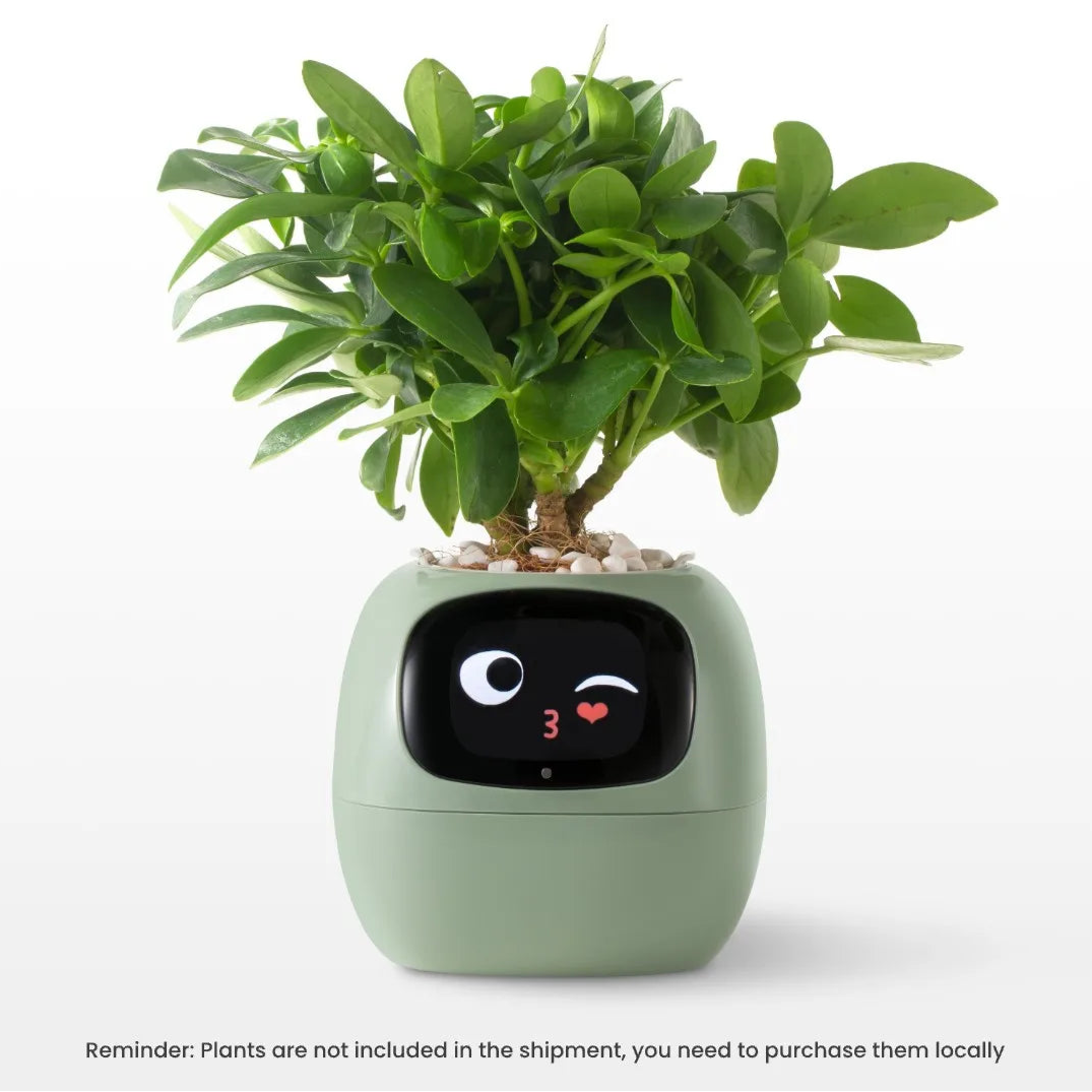 Bot Smart Planter