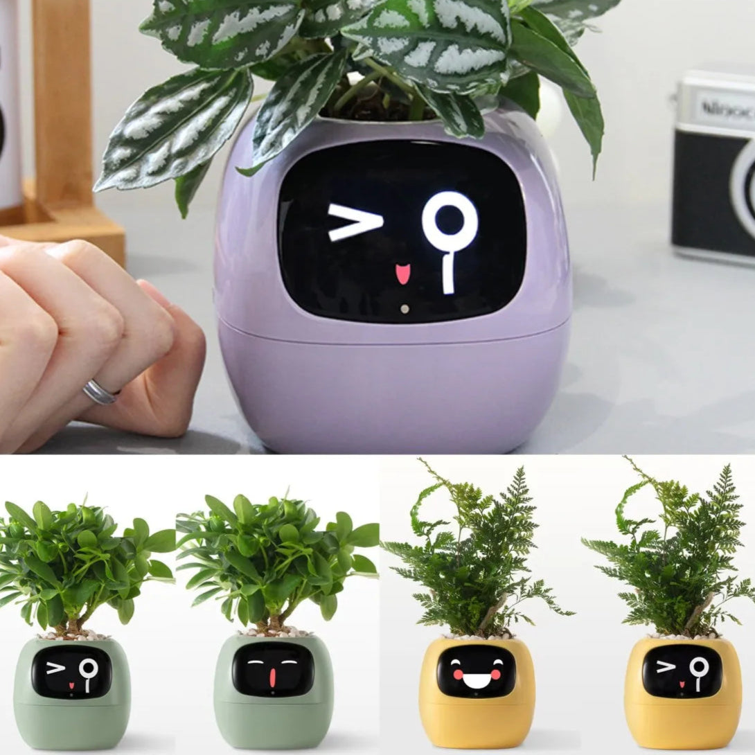 Bot Smart Planter