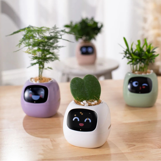 Bot Smart Planter
